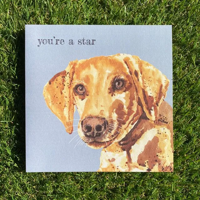 You're A Star Colour Pop Dog greeting card