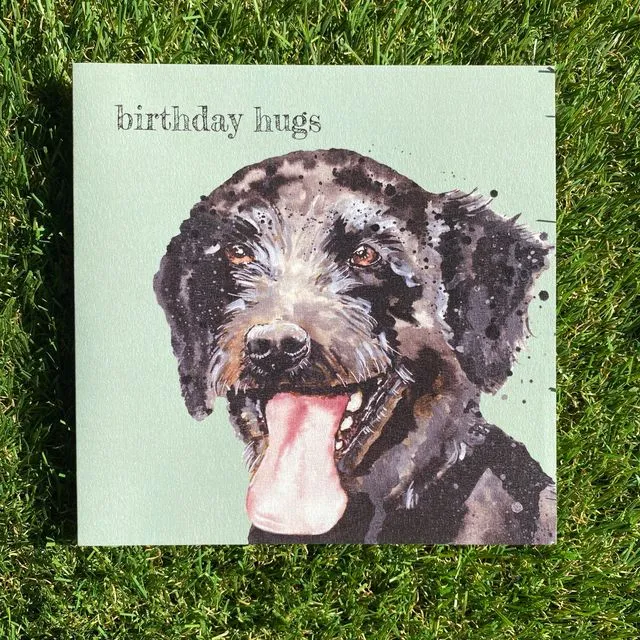 Birthday Hugs Colour Pop Dog greeting card