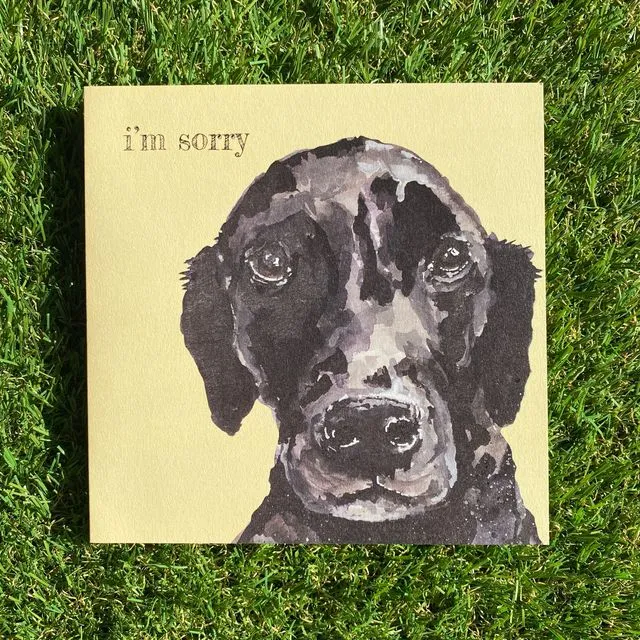 I'm Sorry Colour Pop Dog greeting card