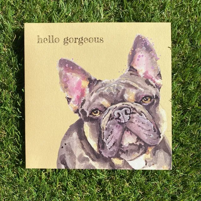 Hello Gorgeous Colour Pop Dog greeting card