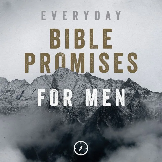 91273 Everyday Bible Promises for Men