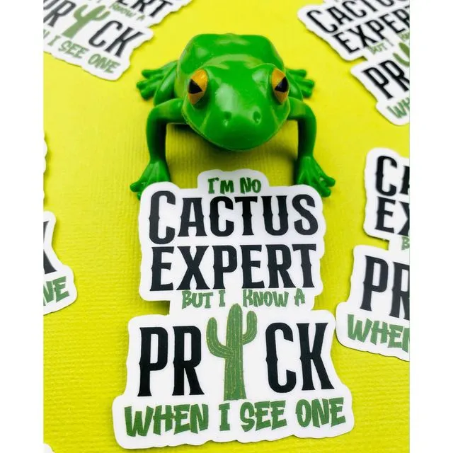 I'm No Cactus Expert Sticker I Know A Prick When I See One Sarcastic Sticker for Women Southwest Humor Western Stickers