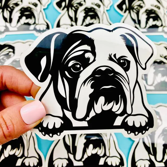 English Bulldog Sticker Black & White English Bulldog Head Paws Dog Decal for Car, Water Bottle
