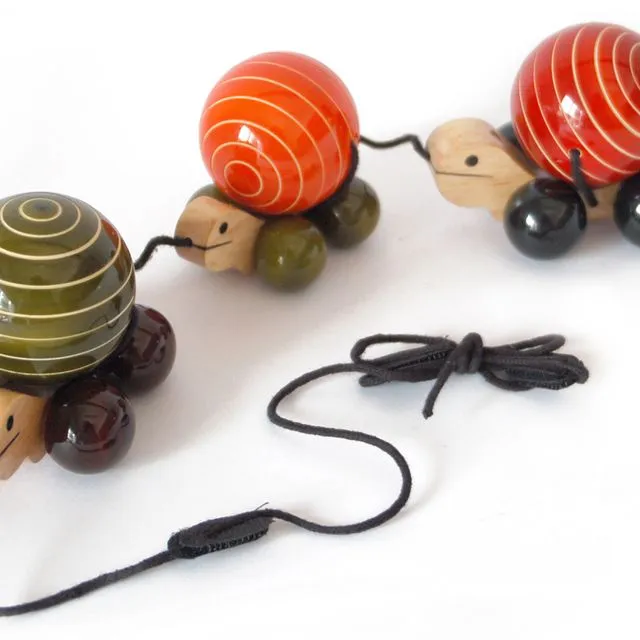 Wooden Toy Turtle Family Pull Along Handmade Non Toxic Colours (Green Orange Red)