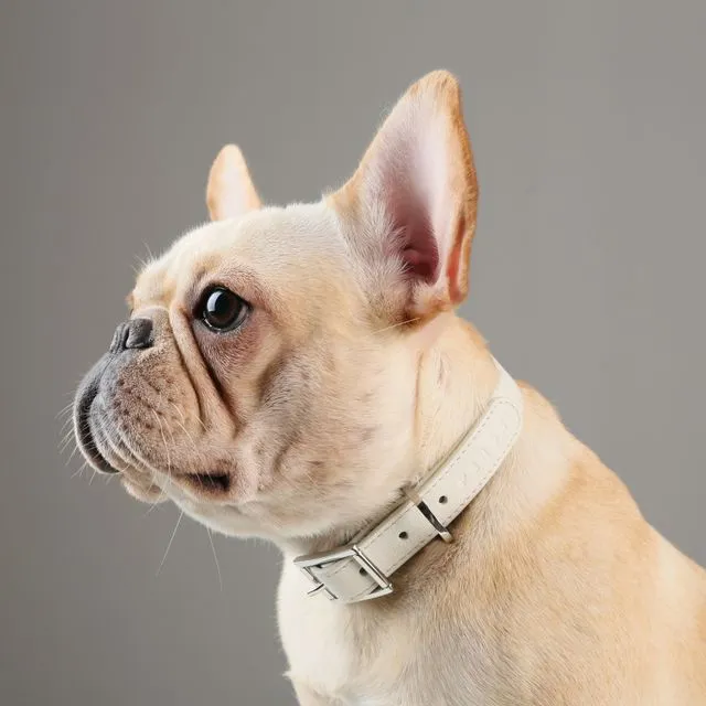 Andersen Calfskin Pet Collar