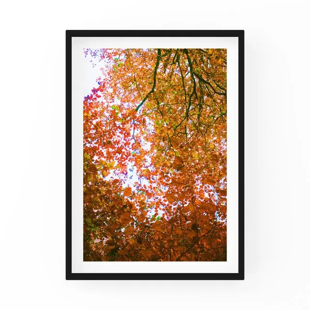 Autumn Leaves - Photography wall art print