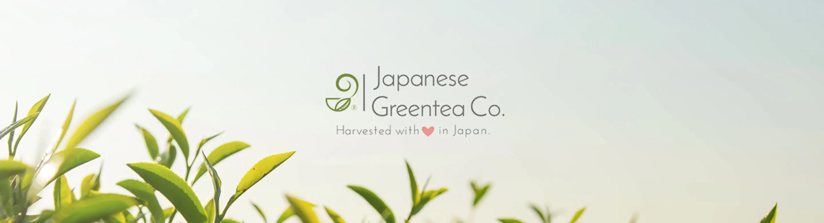 Japanese Green Tea Co.