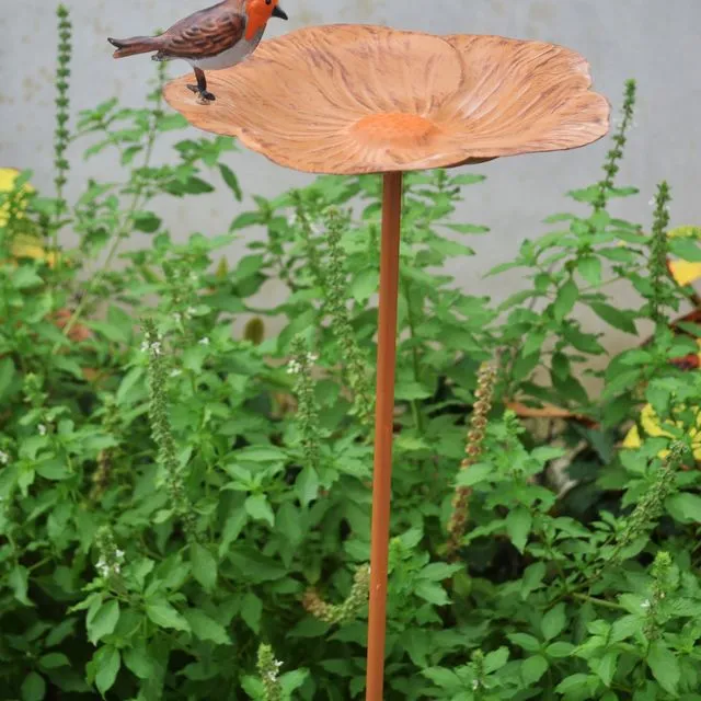 Robin metal bird feeder for outdoors/garden
