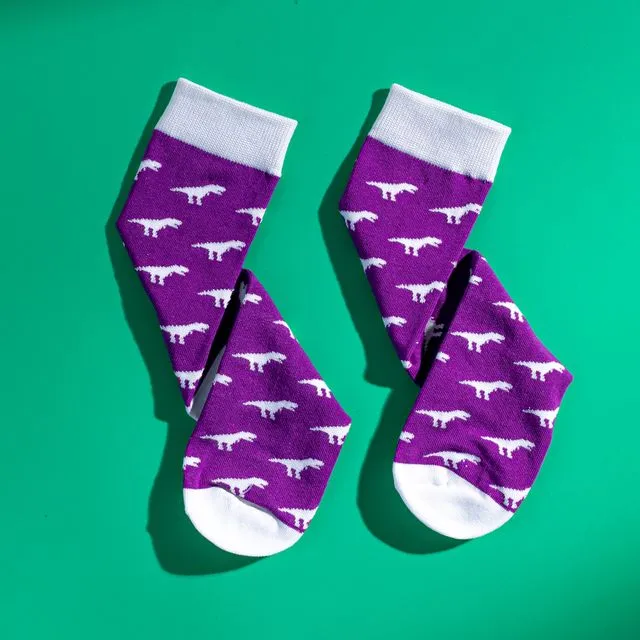 Purple and white men's Egyptian cotton socks with T-rex pattern