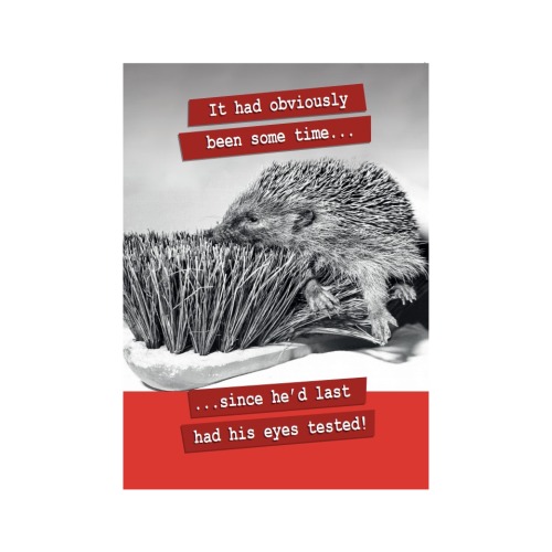 Hedgehog and Brush - A2347