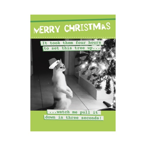 Merry Christmas Cat Pulls Down Christmas Tree - XA2053