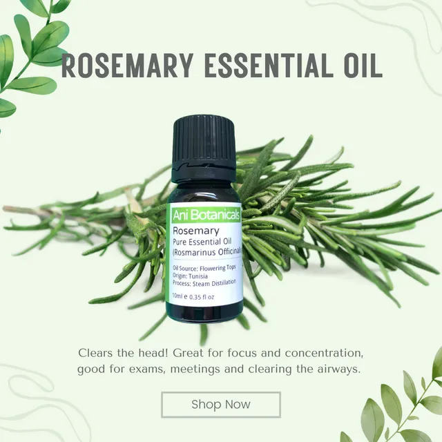 100% Pure ROSEMARY Essential Oil 10ml