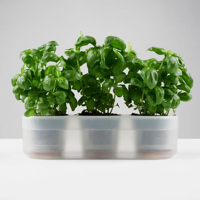 Till Planter - Triple - self-watering plant pot