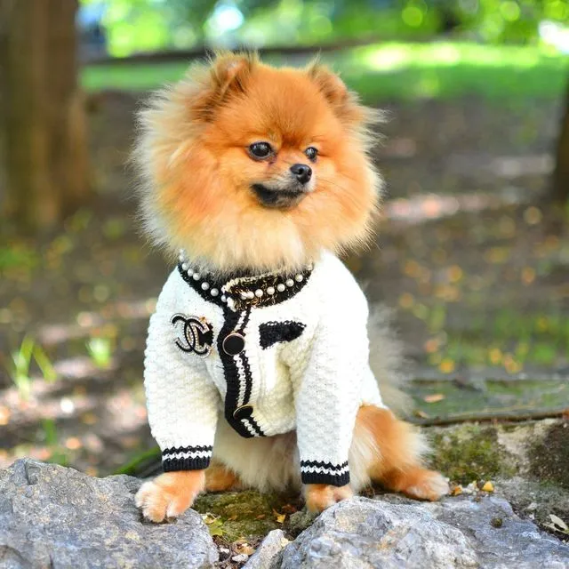Coco Designer Dog Sweater Cardigan White