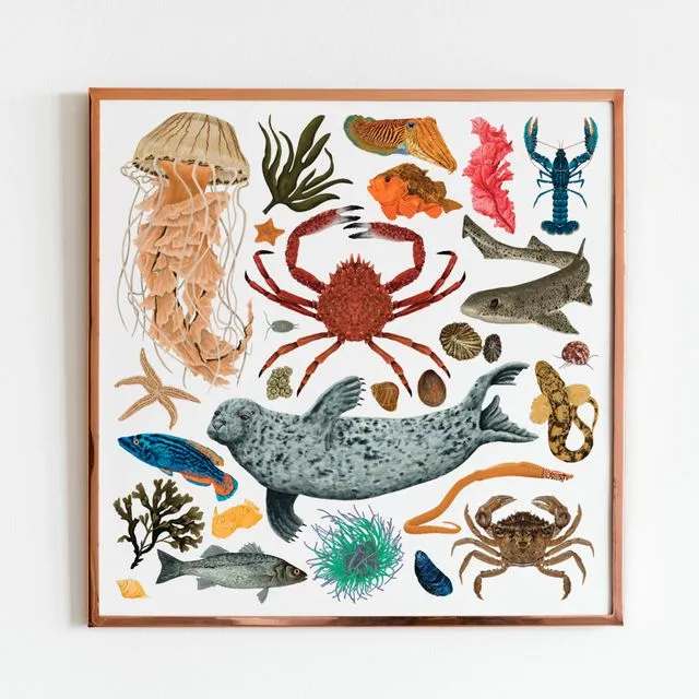 Marine Life Print