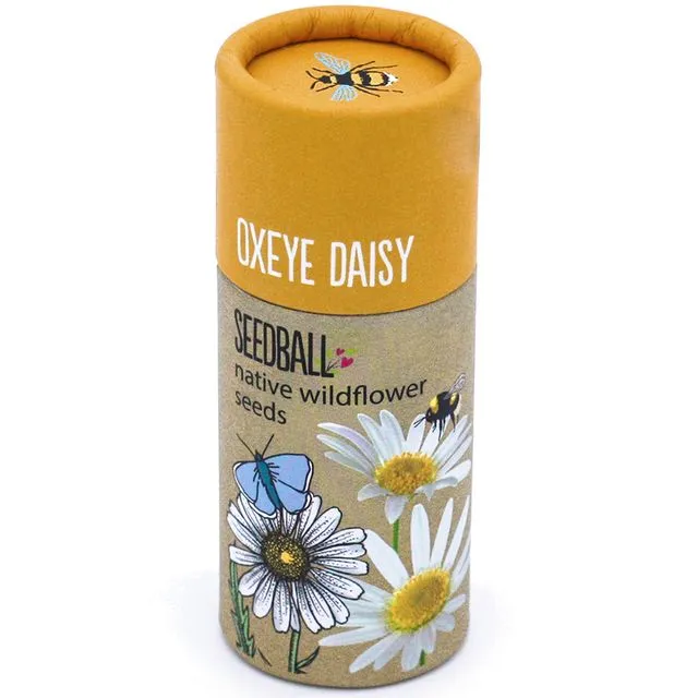 Wildflower Seedball Tube - Oxeye Daisy