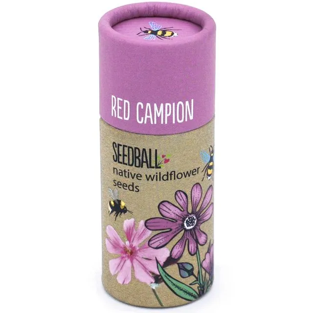 Wildflower Seedball Tube - Red Campion