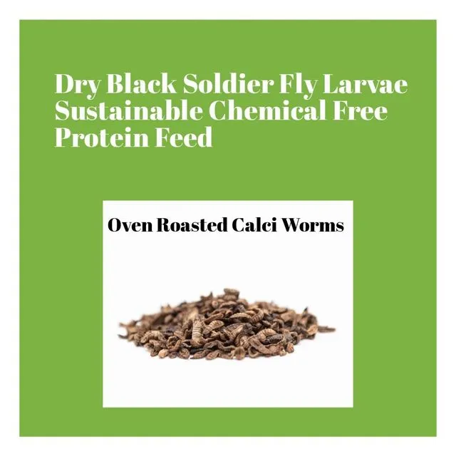 Wormganix 100% Natural Dry Oven Dried BSF Black Soldier Fly Larvae Calci Worms 5 Litre Paper Packaging