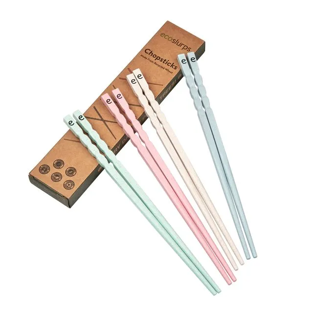 EcoSlurps Reusable Chopsticks - eco friendly chopstick gift set