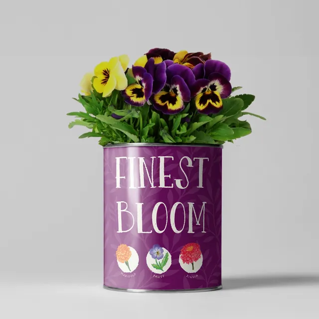 Finest Bloom Flower Growing Kit