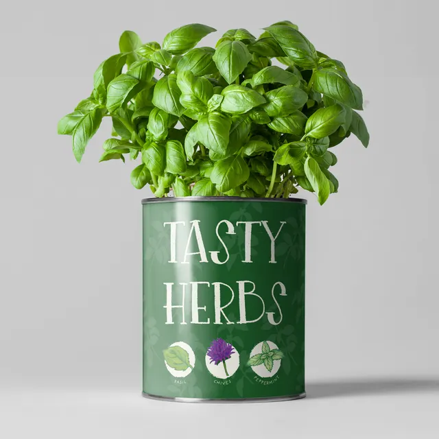 Tasty Herbs Grow Kit