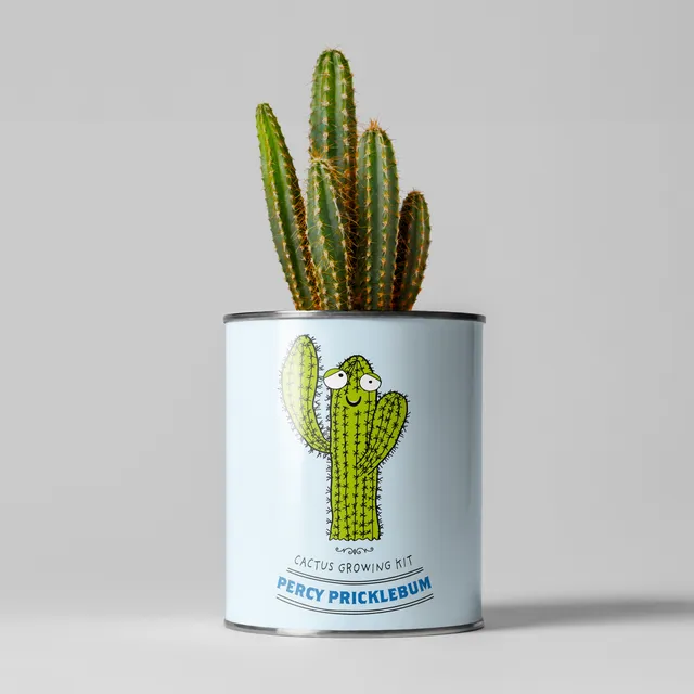 Percy Pricklebum Cacti Grow Kit