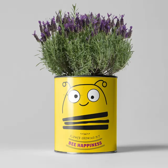 Bee Happiness Grow Kit