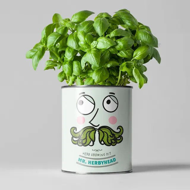 Mr Herby Head Grow Kit