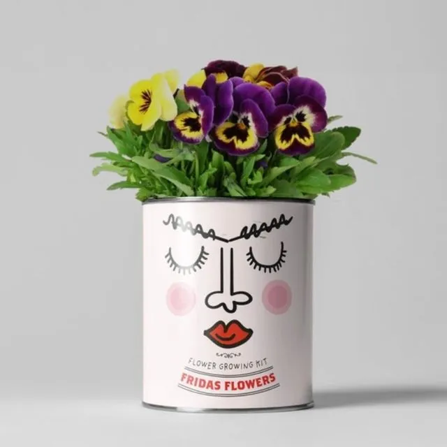 Fridas Flowers Grow Kit