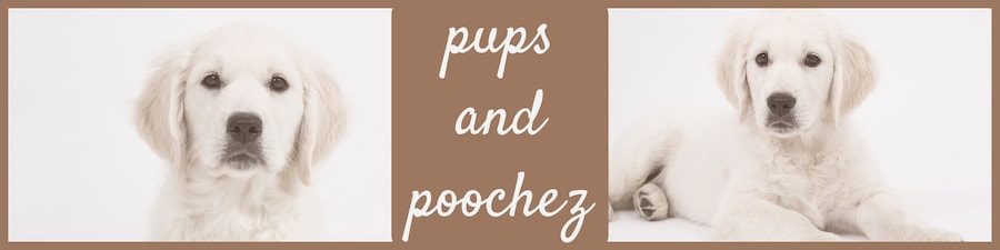 Pups and Poochez