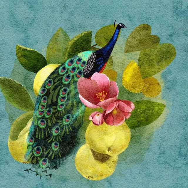 Peacock and quince