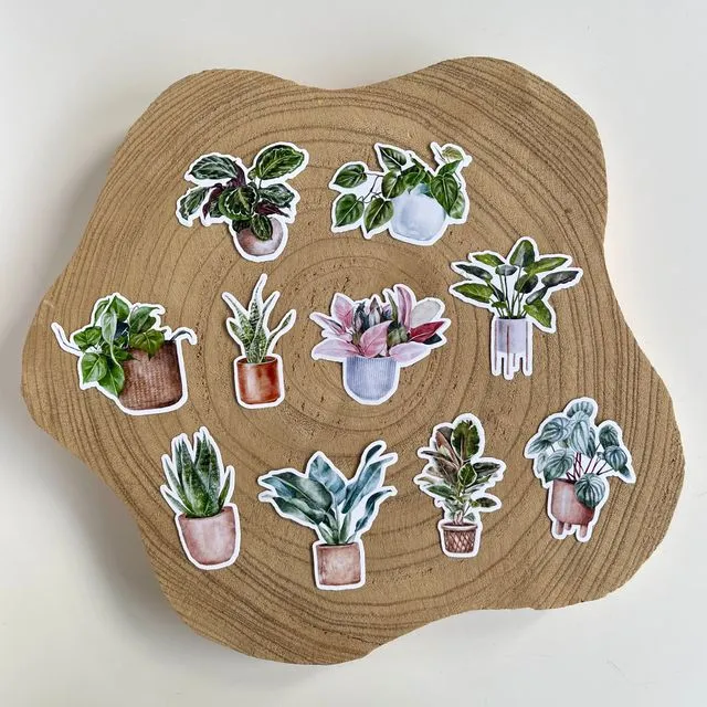 Illustrated Houseplant Sticker Pack | 10 Stickers
