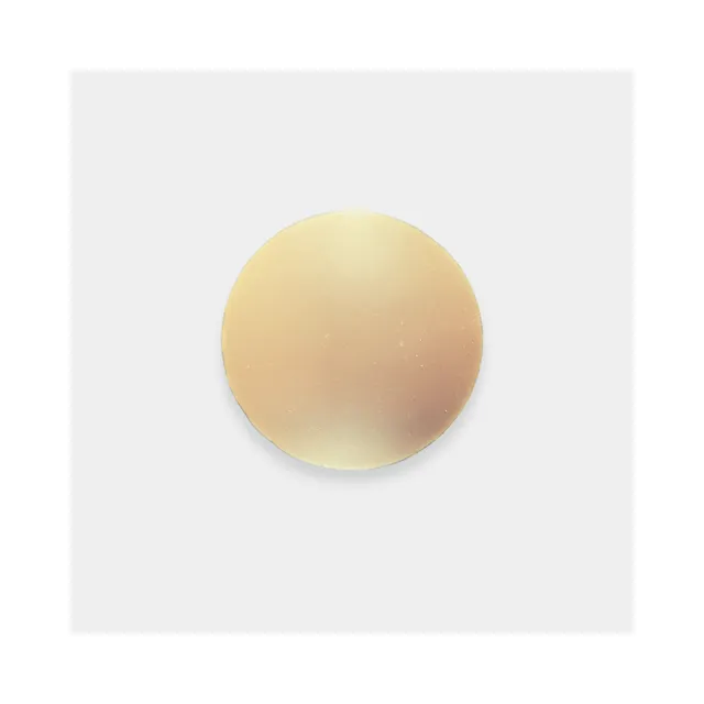 The Premium Ultra-Thin Nipple Cover-NUDE SPICED WALNUT