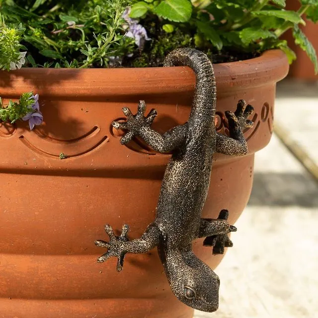Antique Bronze Coloured Gecko Pot Buddy Plant Pot Hanger