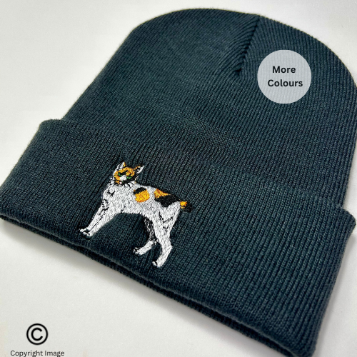 Cat Embroidered beanie hat - Unisex Beanie