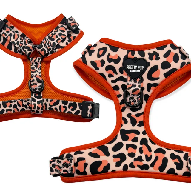 Orange Marmalade Leopard Adjustable Dog Harness