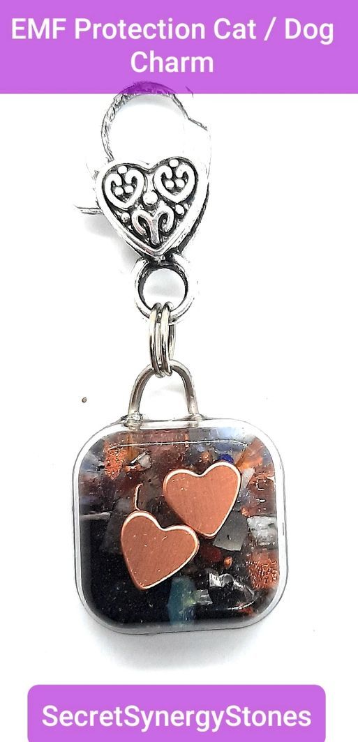 Small Pet Charms EMF Protection - Two Hearts - Heart Clasp