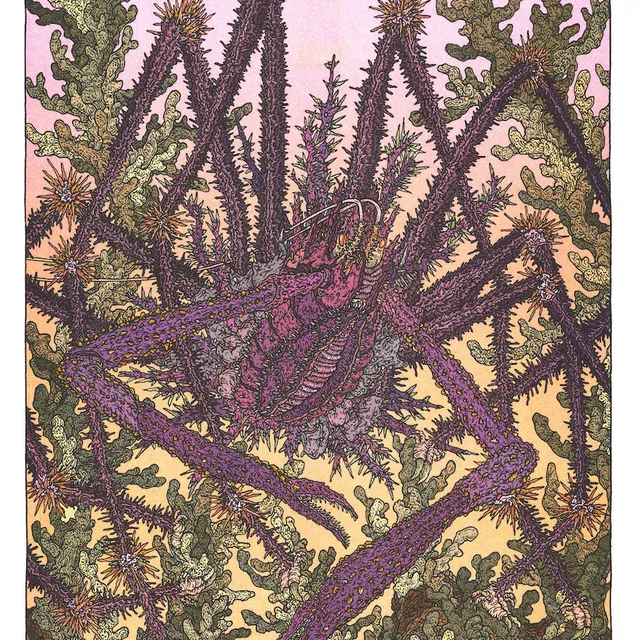 Art Print / A3 Poster Clément Vuillier - Spider