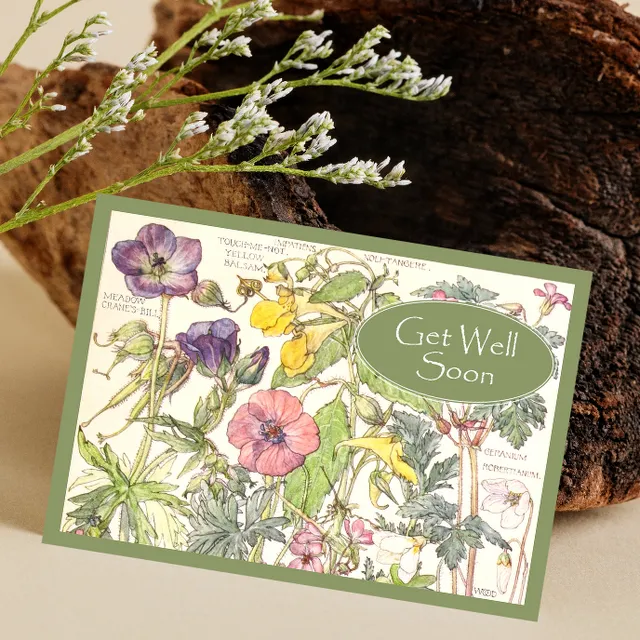 Eco Friendly Get Well Card With A Gift Of Seeds