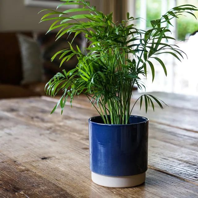 Blue Enos Pot, Indoor Planter H10.5cm x D10cm