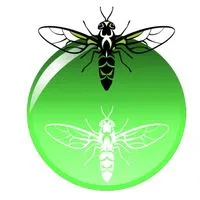 Insect Agrifeed Trade Co. Ltd avatar
