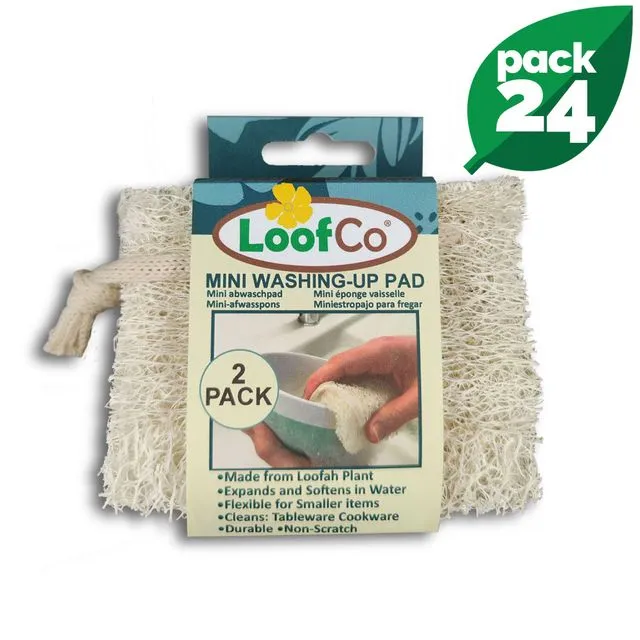 Mini Washing-Up Pad 2-Pack | BULK Box of 24 | 5% Discount