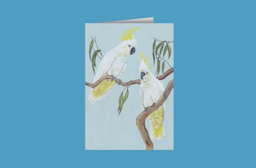 Cockatoos Greetings Cards