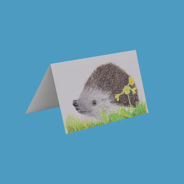 Hedgehog Greetings Cards
