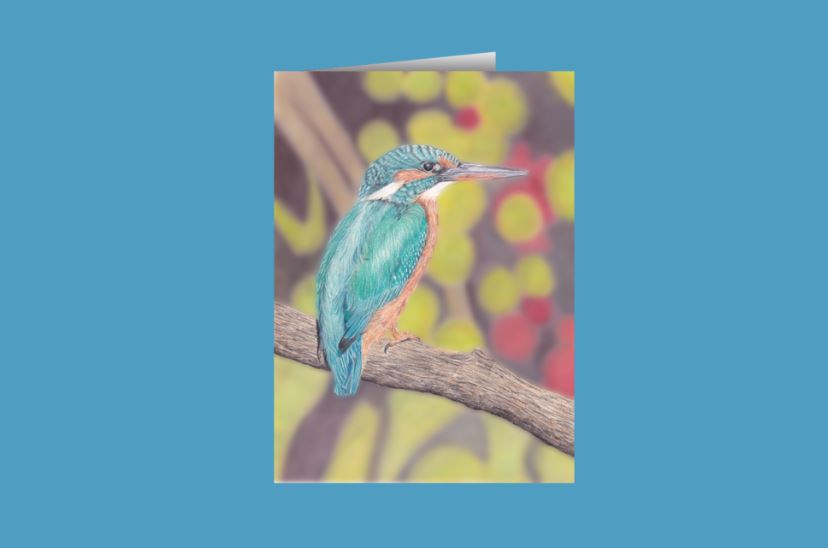 Kingfisher Greetings Cards