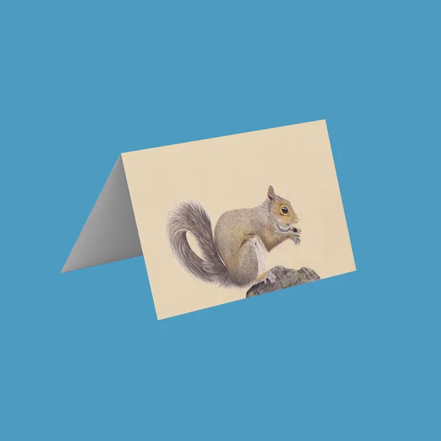 Squirrel Greetings Cards