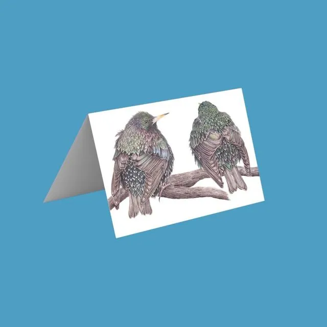 Starlings Greetings Cards
