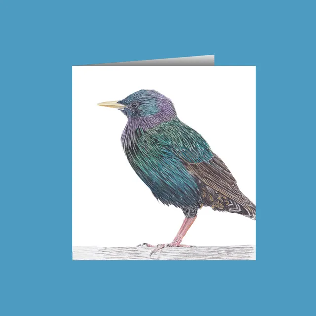 Starling Greetings Cards