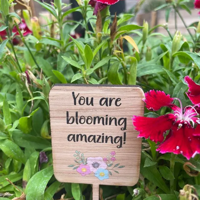 You Are Blooming Amazing plant sign, Flower Gift Tag, Thank you Gift