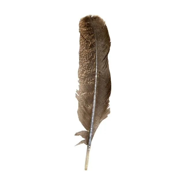Turkey Smudge Feather, 8-10 inch